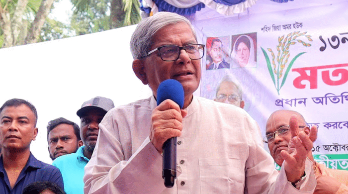 দেশ বাঁচাতে দ্রুত নির্বাচন জরুরি: মির্জা ফখরুল